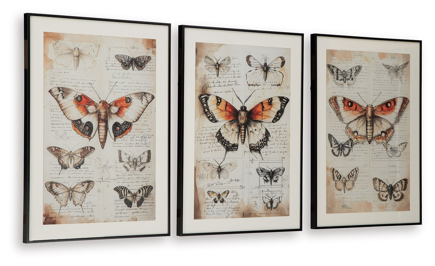 Jossletts - Orange / Noir / Ivoire - Ensemble de décoration murale (lot de 3)