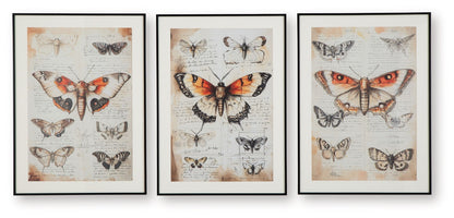 Jossletts - Orange / Noir / Ivoire - Ensemble de décoration murale (lot de 3)